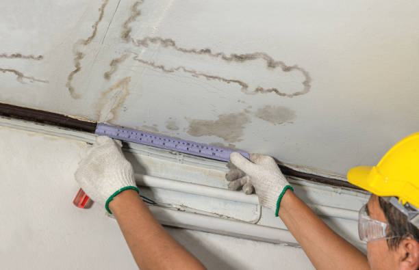 Reliable Basement Water Removal contractor in Fayetteville, AL by Water Damage Irwin